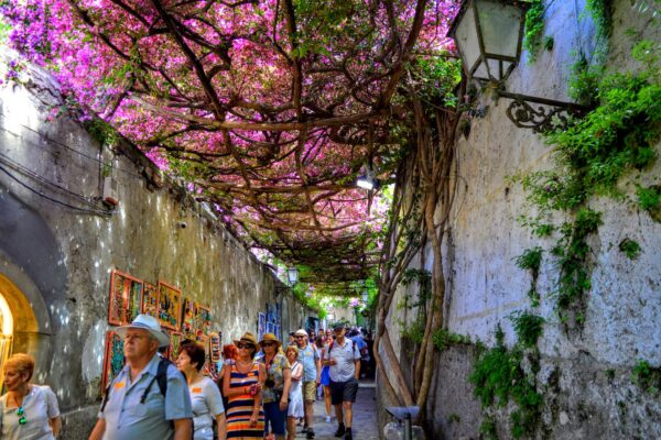 Positano bouganvillea